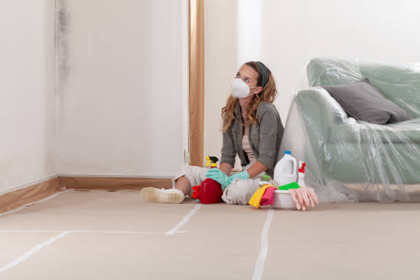 Reliable Mold Remediation contractor in Holland, TX by WQB Mold Removal